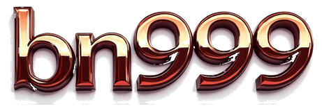 bn999 logo